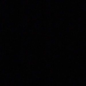 Meet your Posher, Maia